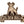 Load image into Gallery viewer, Johnson C. Smith University Golden Bulls Wall Hanging - Crafted from Cherry or Maple Wood -  Johnson C. Smith Golden Bulls

