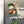 Load image into Gallery viewer, Michigan State University Spartan on State Magnet - Crafted from Cherry or Maple Wood - Michigan State Spartans
