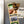Load image into Gallery viewer, Georgia Tech Yellow Jacket Magnet - Crafted from Cherry or Maple Wood

