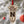 Load image into Gallery viewer, University of Nebraska Corn Ornament - Crafted from Cherry or Maple Wood - Nebraska Huskers
