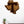 Load image into Gallery viewer, Tarleton State University Institutional Mark Wall Hanging – Crafted from Cherry and  Maple Wood - Tarleton State Texans
