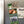 Load image into Gallery viewer, Campbell University Fighting Camels Magnet - Crafted from Cherry or Maple Wood - Campbell Camels
