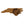 Load image into Gallery viewer, University of North Carolina Chapel Hill Ramses on State Magnet - Crafted from Cherry or Maple Wood - UNC Tar Heels
