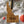 Load image into Gallery viewer, University of Idaho Vandals on State Ornament – Crafted from Cherry and Maple Wood – Idaho Vandals
