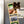 Load image into Gallery viewer, University of Michigan Magnet - Crafted from Cherry or Maple Wood
