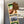 Load image into Gallery viewer, George Mason University Logo Magnet - Crafted from Cherry or Maple Wood - George Mason Patriots
