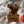 Load image into Gallery viewer, University of Mary Washington Logo Ornament – Crafted from Cherry and Maple Wood
