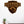 Load image into Gallery viewer, Roanoke College Maroons Wall Hanging - Crafted from Cherry and Maple Wood - Roanoke Maroons
