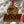 Load image into Gallery viewer, Winston Salem State University Rams Ornament – Crafted from Cherry or Maple Wood – Winston Salem State University Rams
