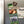 Load image into Gallery viewer, Lenoir-Rhyne University Bear Head and Wordmark Magnet - Crafted from Cherry or Maple Wood - Lenoir-Rhyne Bears
