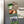 Load image into Gallery viewer, George Mason University Logo Magnet - Crafted from Cherry or Maple Wood - George Mason Patriots

