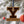 Load image into Gallery viewer, Yale University Athletic Y Ornament – Crafted from Cherry and Maple Wood – Yale Bulldogs
