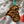 Load image into Gallery viewer, Coastal Carolina University Chanticleers Ornament – Crafted from Cherry and Maple Wood – Coastal Carolina Chanticleers
