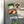 Load image into Gallery viewer, Air Force Thunderbirds Magnet - Crafted from Cherry or Maple Wood - United States Air Force
