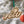 Load image into Gallery viewer, Florida Gulf Coast University Ornament Eagle Head with FGCU

