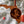 Load image into Gallery viewer, Florida State University Ornament Seminole on State
