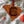 Load image into Gallery viewer, USC South Carolina Ornament Gamecock C on State
