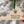 Load image into Gallery viewer, William and Mary Logo on State Ornament – Crafted from Cherry and Maple Wood – William and Mary Griffins
