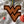 Load image into Gallery viewer, West Virginia Ornament Flying WV
