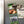 Load image into Gallery viewer, Mayberry Nip it in the Bud Magnet
