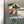Load image into Gallery viewer, Mayberry Fishing Buddies Magnet
