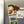 Load image into Gallery viewer, UCF (Central Florida) Magnet University of Central Florida Logo
