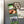 Load image into Gallery viewer, Marquette University Interlocked MU Magnet - Crafted from Cherry or Maple Wood - Marquette Golden Eagles
