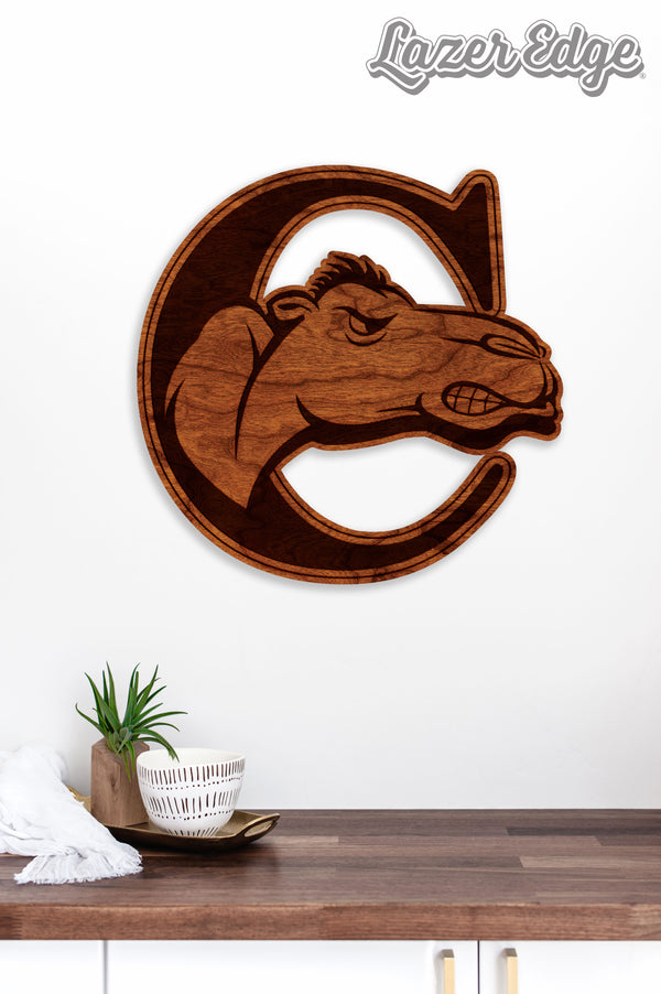 Campbell University Wall Hanging Campbell C
