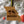 Load image into Gallery viewer, University of Missouri Tigers on State Ornament – Crafted from Cherry and Maple Wood – Mizzou Tigers
