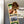 Load image into Gallery viewer, East Carolina University Jolly Roger Magnet - Crafted from Cherry or Maple Wood - ECU Pirates
