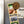Load image into Gallery viewer, Meredith College Seal Magnet - Crafted from Cherry or Maple Wood - Meredith College Avenging Angels
