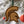 Load image into Gallery viewer, Michigan State University Spartans Ornament – Crafted from Cherry and Maple Wood – Michigan State Spartans
