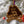 Load image into Gallery viewer, East Carolina University Jolly Roger Ornament – Crafted from Cherry and Maple Wood –ECU Pirates
