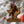 Load image into Gallery viewer, Tarleton State University Texans Ornament – Crafted from Cherry and Maple Wood – Tarleton Texans
