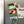 Load image into Gallery viewer, University of Houston UH on State Magnet - Crafted from Cherry or Maple Wood - Houston Cougars
