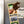 Load image into Gallery viewer, Washington State University Cougar Magnet - Crafted from Cherry or Maple Wood - Washington State Cougars
