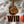 Load image into Gallery viewer, Western Illinois University WIU Stack Ornament – Crafted from Cherry and Maple Wood – Western Illinois Leathernecks
