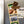 Load image into Gallery viewer, Lenoir-Rhyne University Bear Head and Wordmark Magnet - Crafted from Cherry or Maple Wood - Lenoir-Rhyne Bears
