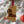 Load image into Gallery viewer, Ole Miss on Mississippi Ornament – Crafted from Cherry or Maple Wood
