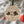 Load image into Gallery viewer, Michigan State University Seal Ornament – Crafted from Cherry and Maple Wood – Michigan State Spartans
