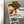 Load image into Gallery viewer, Marquette University Logo Magnet - Crafted from Cherry or Maple Wood - Marquette Golden Eagles
