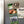 Load image into Gallery viewer, Old Dominion University Monarchs Magnet - Crafted from Cherry or Maple Wood - Old Dominion Monarchs
