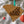 Load image into Gallery viewer, Coastal Carolina University Chanticleers on State Ornament – Crafted from Cherry and Maple Wood – Coastal Carolina Chanticleers
