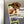 Load image into Gallery viewer, University of Missouri Tiger Magnet - Crafted from Cherry or Maple Wood - Missouri Tigers
