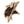 Load image into Gallery viewer, Elizabeth City State University Vikings Magnet - Crafted from Cherry or Maple Wood - ESCU Vikings
