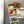 Load image into Gallery viewer, University of South Carolina Block C Gamecock on State Magnet - Crafted from Cherry or Maple Wood - USC Gamecocks
