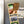 Load image into Gallery viewer, University of North Carolina at Charlotte All-In-C Magnet - Crafted from Cherry or Maple Wood - UNC Charlotte 49ers
