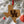 Load image into Gallery viewer, University of Houston UH on State Ornament – Crafted from Cherry and Maple Wood – Houston Cougars

