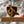 Load image into Gallery viewer, Johns Hopkins University Blue Jay Shield Ornament – Crafted from Cherry and Maple Wood – Johns Hopkins Blue Jays
