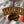 Load image into Gallery viewer, Western Carolina University Catamounts Ornament – Crafted from Cherry and Maple Wood - WCU Catamounts
